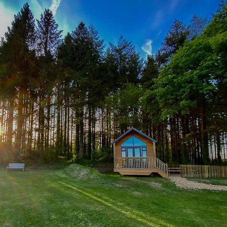 Cabin In The Woods - 1 Bedroom Lodge - Kilgetty Stepaside  Екстериор снимка