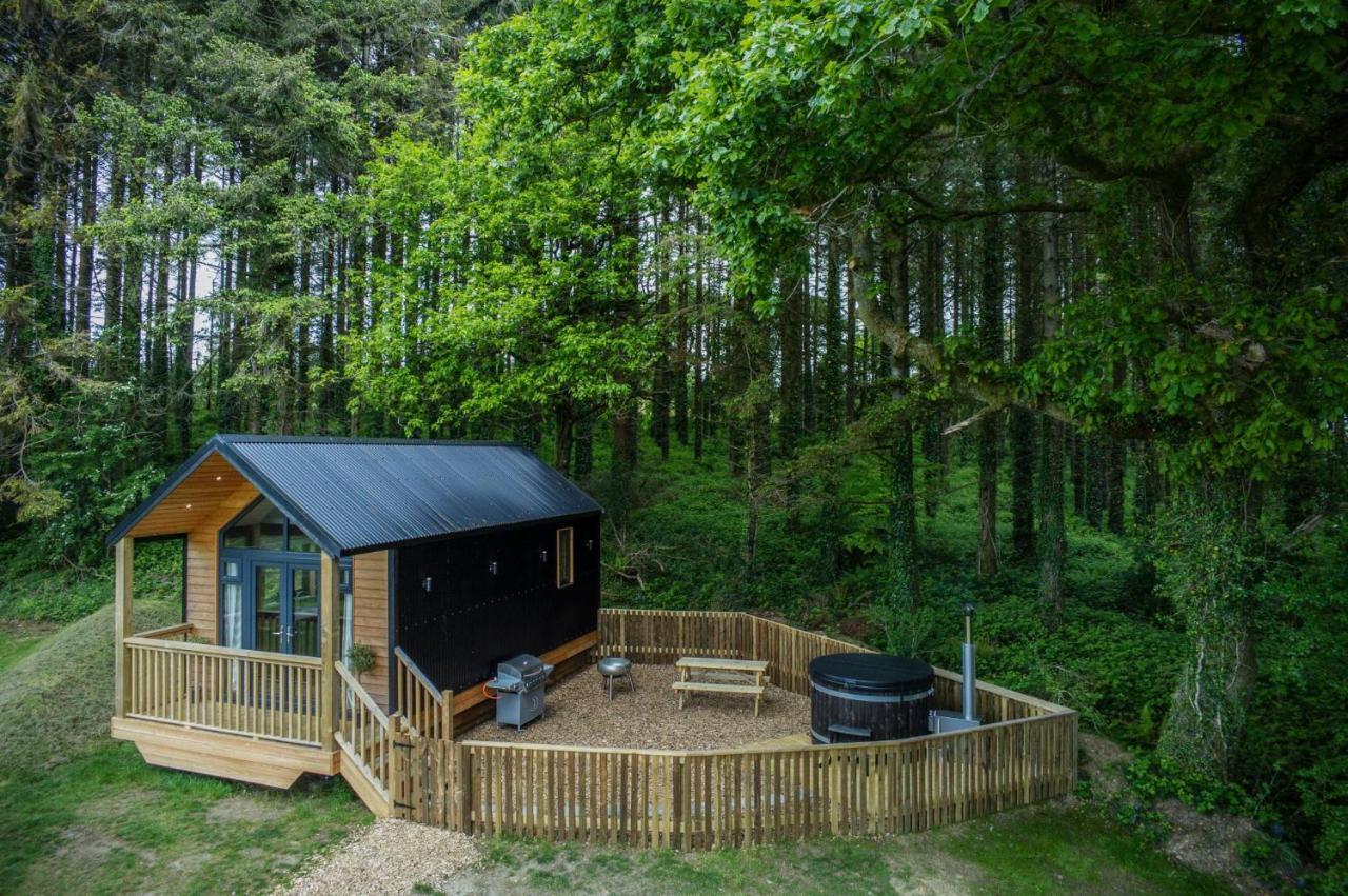 Cabin In The Woods - 1 Bedroom Lodge - Kilgetty Stepaside  Екстериор снимка