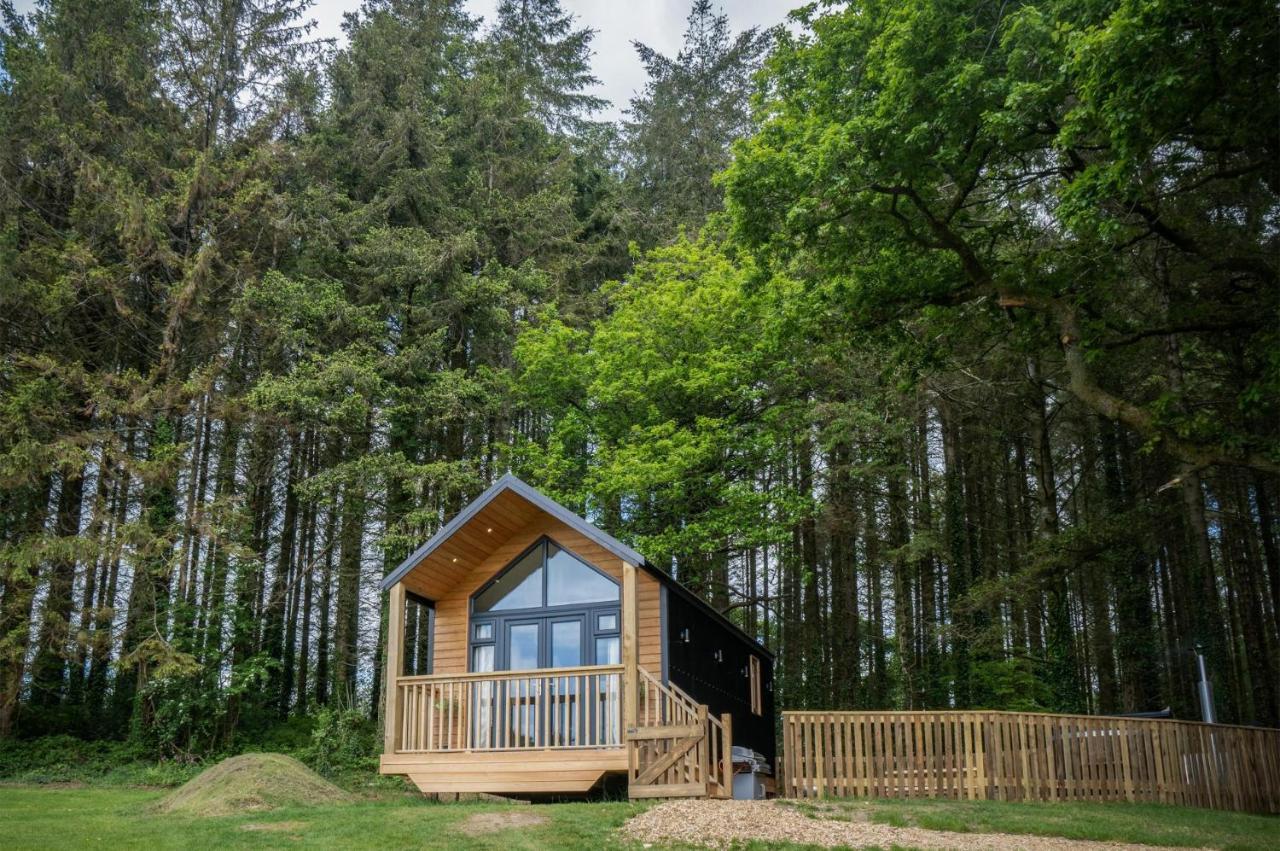 Cabin In The Woods - 1 Bedroom Lodge - Kilgetty Stepaside  Екстериор снимка